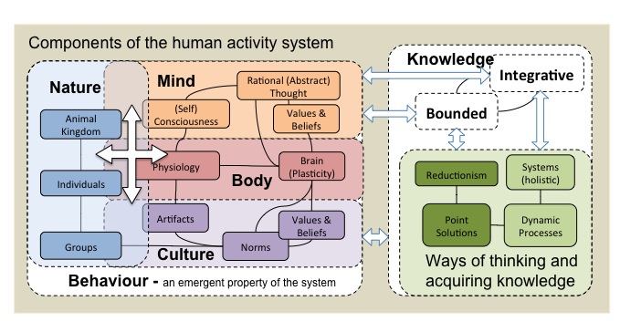 Figure 1a - Components of the Human Activity System